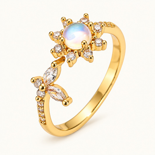Enchanted Rings